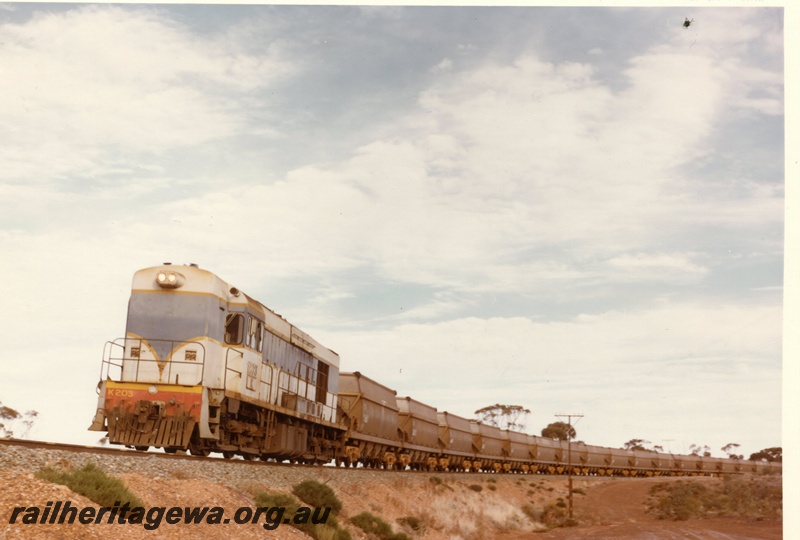 P03943
K class 203 standard gauge diesel locomotive in dark blue livery, front and side view, on a salt train en route to Lake Lefroy, standard gauge line.
