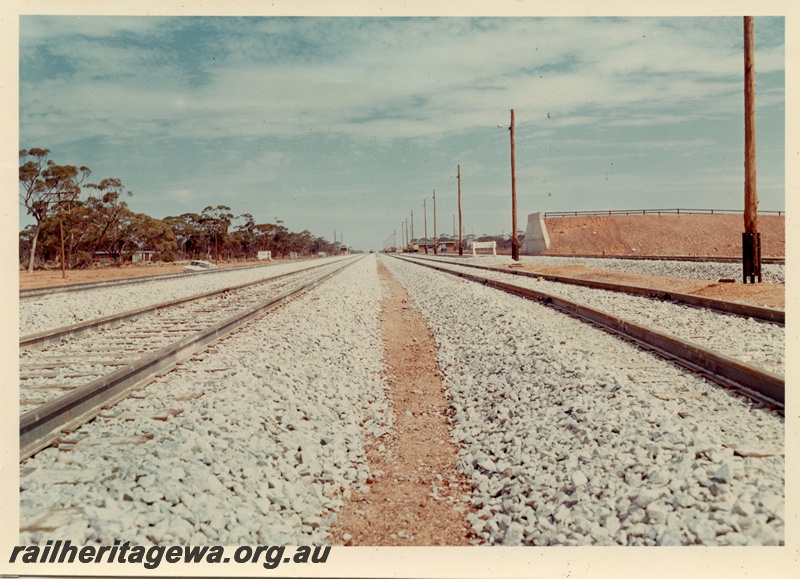 P03979
3 of 3, Koolyanobbing yard, standard gauge construction project line.
