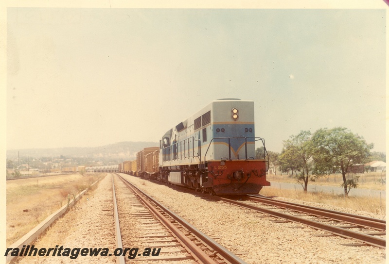 P03998
L class 255 standard gauge diesel locomotive in dark blue livery, side and front view, on freight train, Bellevue, Avon valley line.
