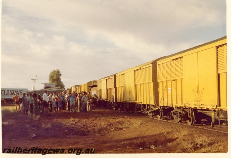 P04115
VF class bogie vans in the last train departing Meekatharra, NR line, view along the train 
