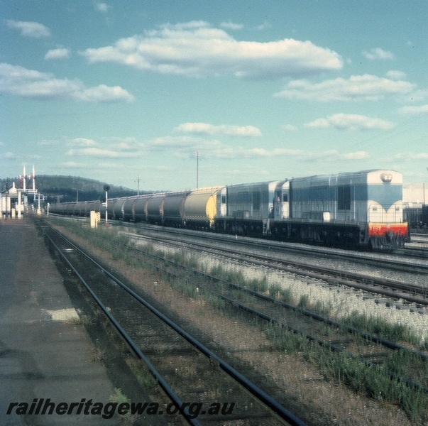 P04325
K class 206 double heading with another K class diesel locomotive, in dark blue livery, on a grain train, side and front view, Midland, standard gauge line.
