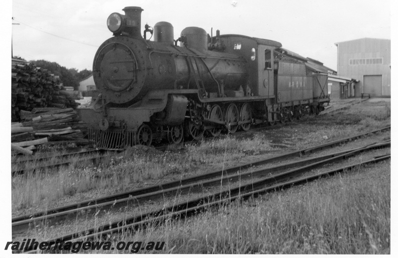 P04364
MRWA D class 19 steam locomotive, front and side view, MR line.
