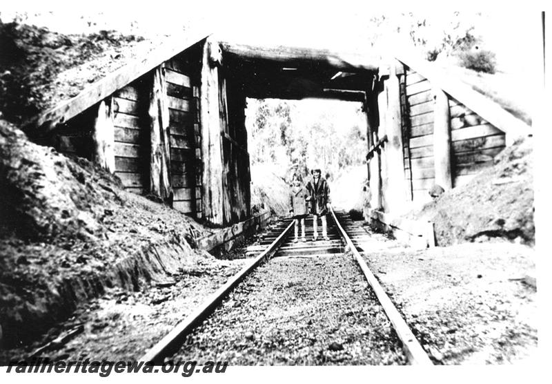 P04413
Railway subway taking the Adelaide Timber Company's line under the WAGR line, Wilga, view looking along the track.
