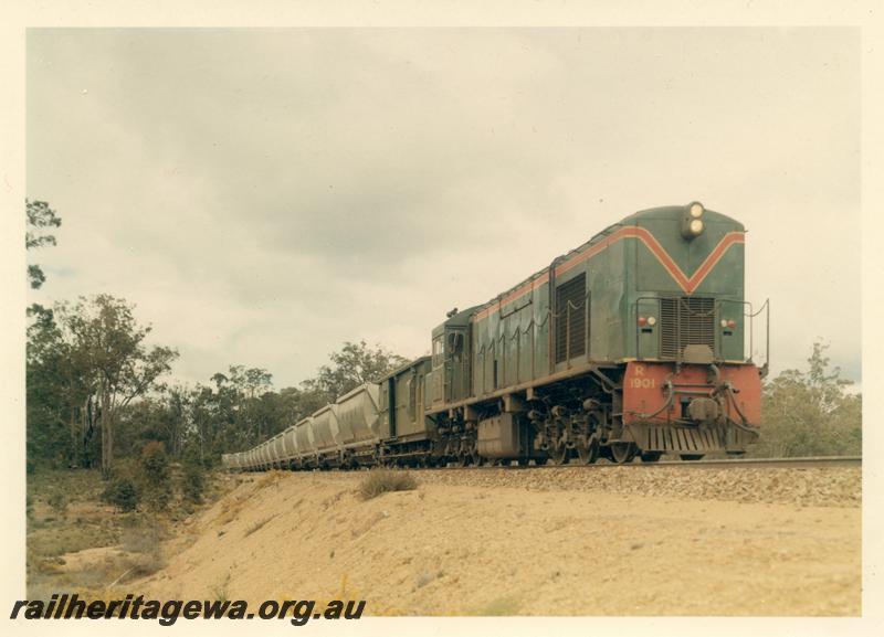 P04429
R class 1901, bauxite train, side and end view of loco
