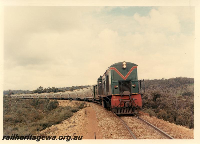 P04430
R class 1901, bauxite train, side and end view of loco
