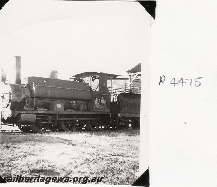 P04475
Millars loco 