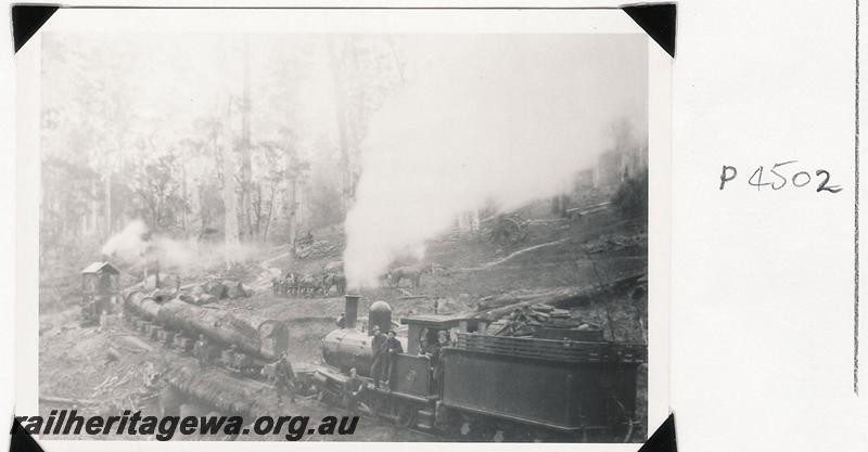 P04502
SSM loco No.57 at Deanmill loading logs
