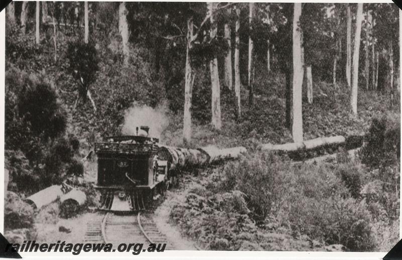 P04503
SSM loco No.57 hauling a log train at Deanmill
