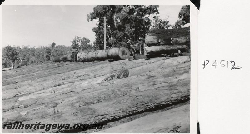 P04512
Log skids at Banksiadale Mill
