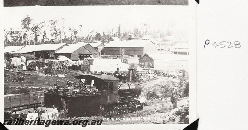 P04528
Millars loco 