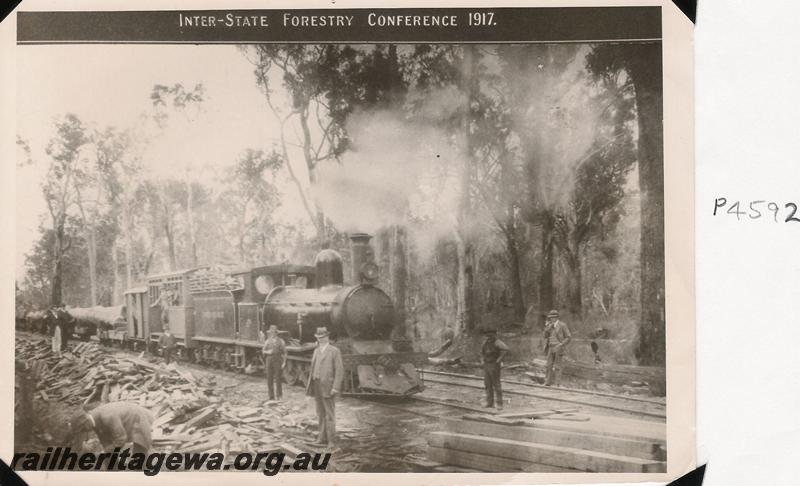 P04592
Millars loco Jarrahdale hauling logs near Jarrahdale
