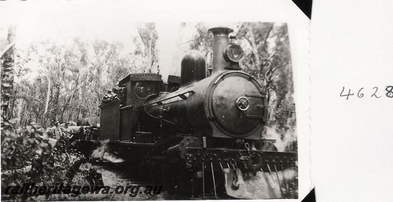 P04628
Millars loco 