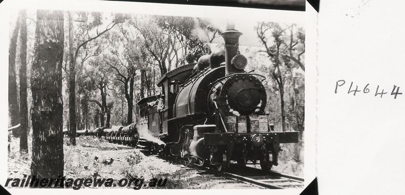 P04644
Millars loco 