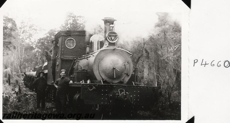 P04660
Millars loco 