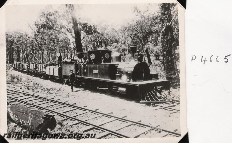 P04665
Canning Jarrah Timber Company loco 