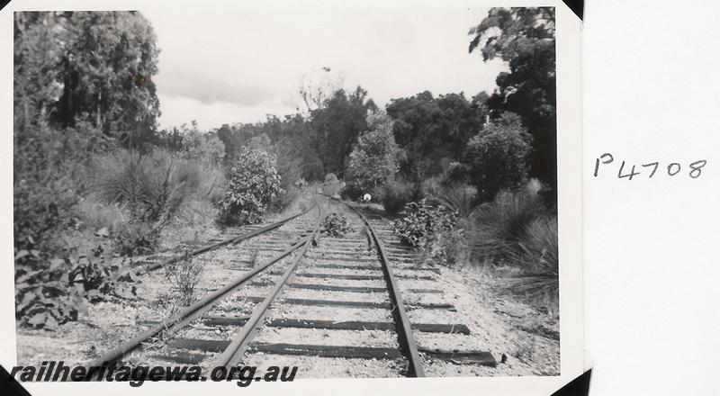 P04708
Unidentified set of points on a bush railway
