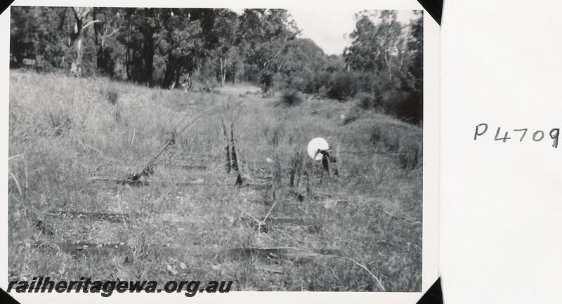 P04709
Unidentified set of points on a bush railway
