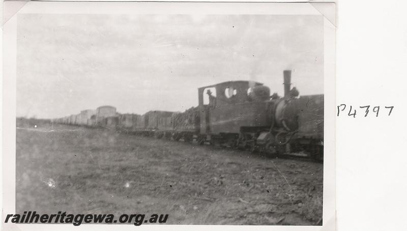 P04797
Sons of Gwalia loco 