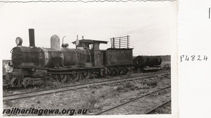 P04824
Lakewood Firewood Co. loco No.3, front and side view
