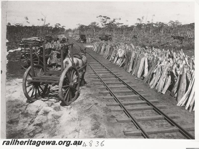 P04836
Horse and dray, track, stacks of firewood stacked vertically alongside the track, on Kurrawang bush line
