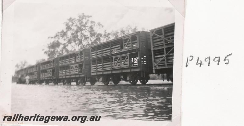 P04995
CXA class and CXB class sheep wagons, Boyup Brook stock yards, DK line, flooded
