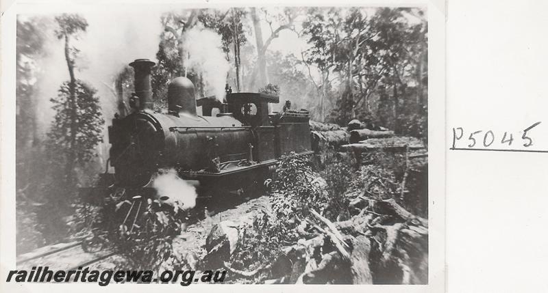 P05045
Adelaide Timber Co. loco Y class 71, East Witchcliffe, hauling log rake
