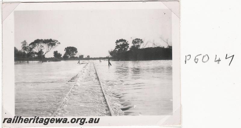 P05047
Bridge under water at Ewlyamartup. KP line, view along track
