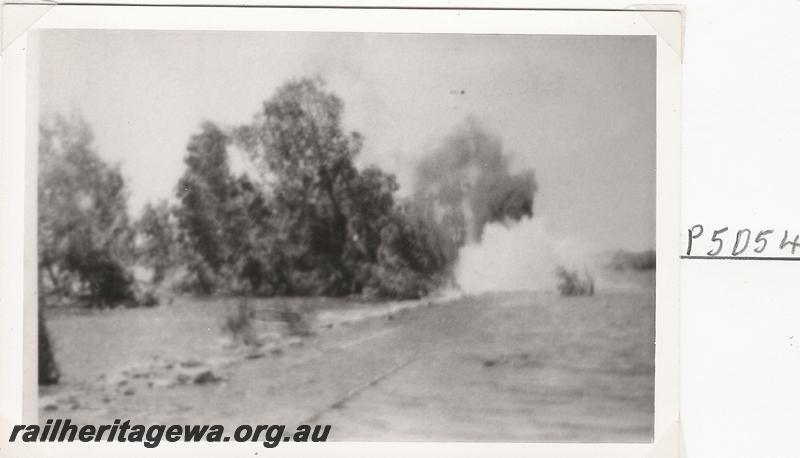 P05054
Flooded track, Shaw River?, Port Hedland to Marble Bar Railway, PM line, copy photo
