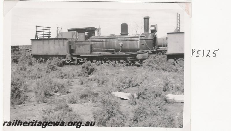 P05125
Lakewood Firewood Co. loco No.14, side view
