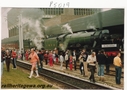 Filename=P05019.jpg
Filesize=123KiB
Dimensions=800x565
Date added=Sep 03, 2014 P05019.jpg