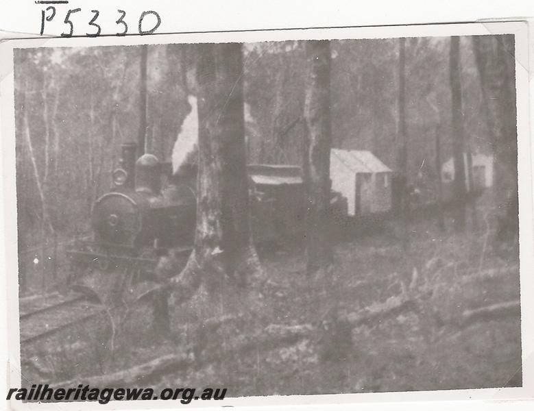 P05330
Train with carriage and huts being transported, on the Ferguson Valley line
