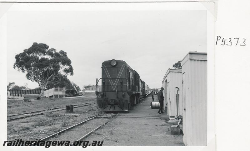 P05373
G class 51, station yard, gangers sheds, Calingiri, CM line, on ARHS tour train
