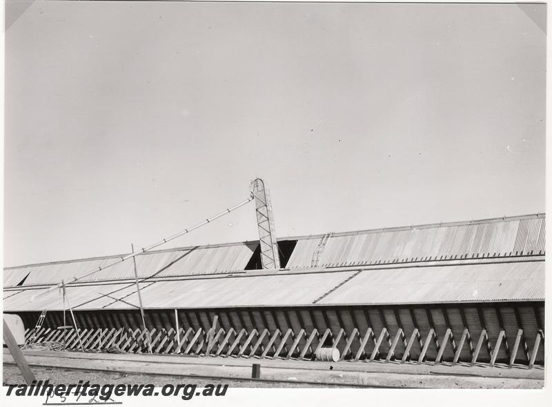 P05722
Wheat bin, Mingenew, MR line
