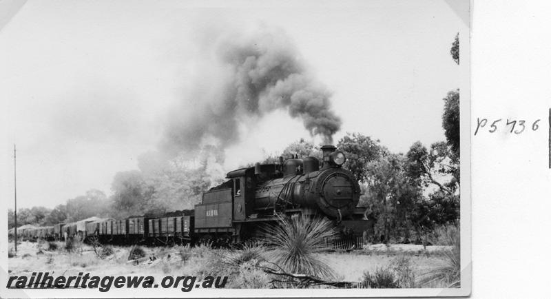 P05736
MRWA loco D class 20, near Muchea, MR line, goods train, L class wagon behind loco
