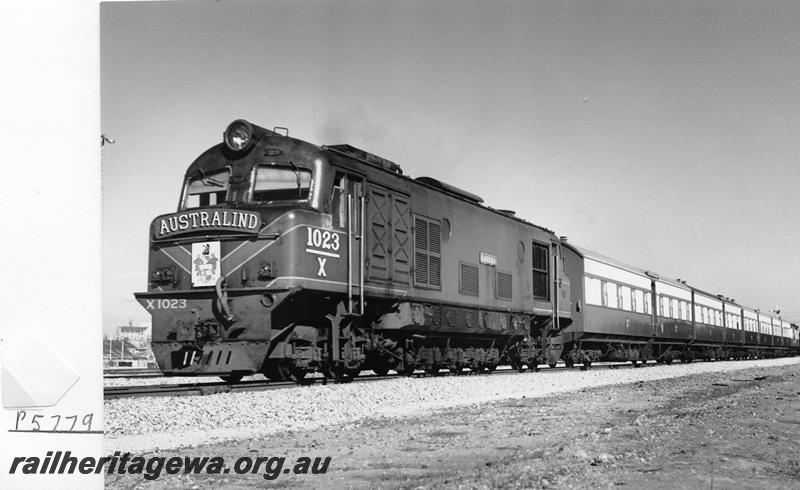 P05779
X class 1023 