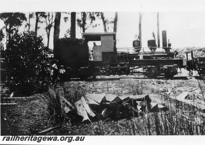 P05941
Millars Shay loco, East Kirup, side view.
