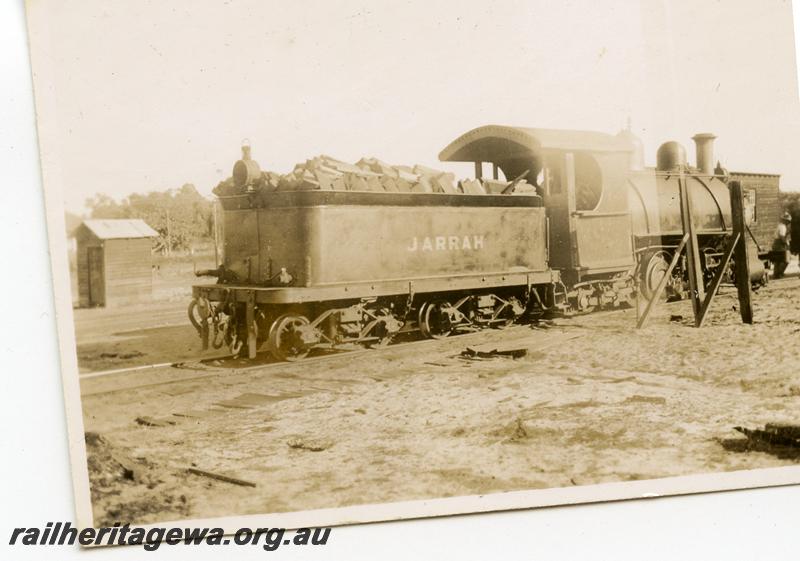 P05956
Millars loco 
