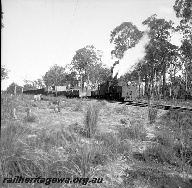 P06062
MS class 426 Garratt loco, Beelerup, DK line, goods train, shunting
