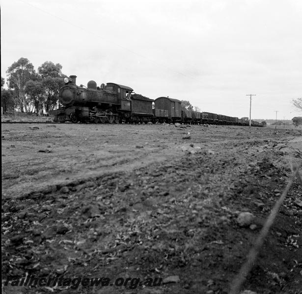 P06119
F class, out of Williams, BN line, goods train
