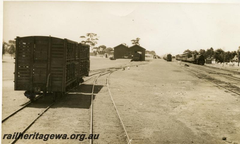 P06212
Sheep wagons, goods shed, station yard, Kellerberrin, EGR line
