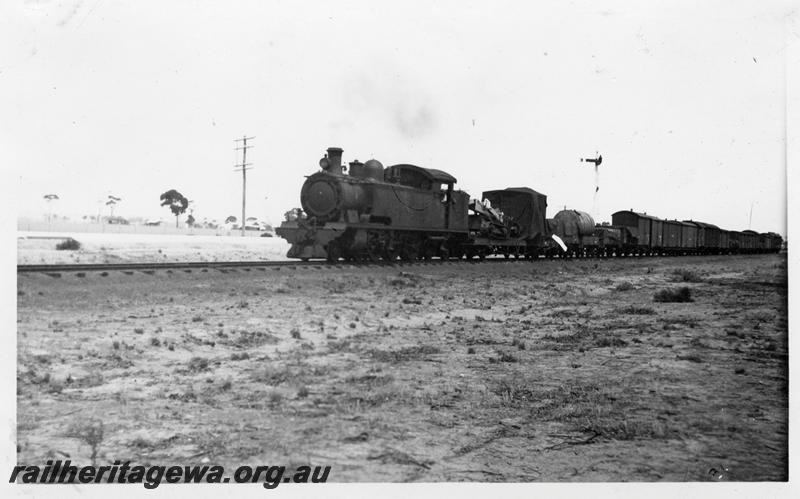 P06256
D class, ex Kellerberrin on freight train to Woolundra. EGR line
