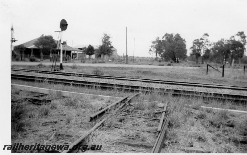 P06535
Track leading towards where the 