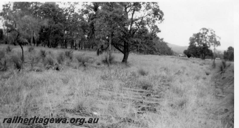 P06536
Abandoned track showing old sleepers of line leading towards Mundijong, view looking east
