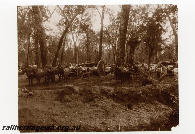 P06673
Horse teams hauling a whim, Jarrahdale bush
