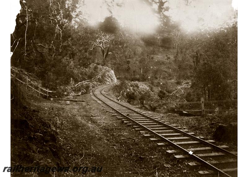 P06678
Bush railway, Jarrahdale bush
