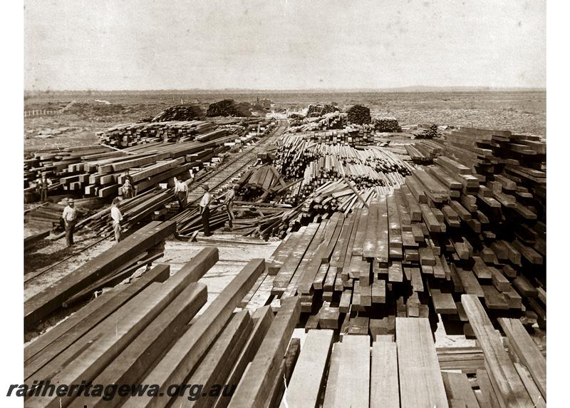 P06680
Timber stacks, Rockingham
