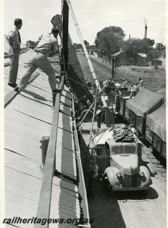 P06780
GE class, grain elevator, wheat bin, Cunderdin, EGR line, Bulk superphosphate experiment (?), unloading wagon
