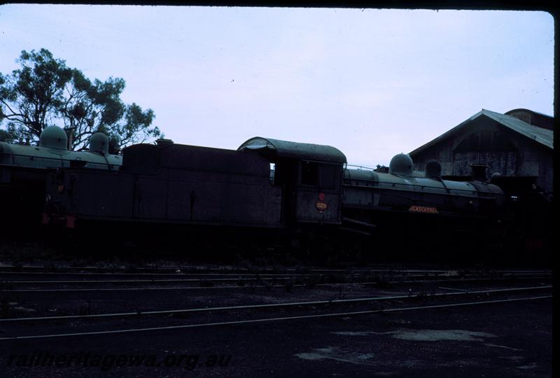 P06826
PR class 529 