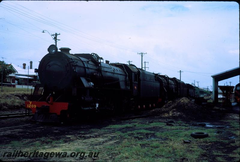 P06853
V class 1209, with other V class locos, East Perth Loco depot, front and side view
