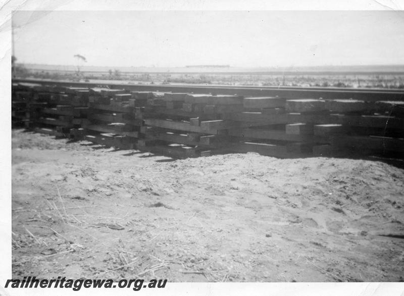 P06916
Pigsty at site of washaway, Mullewa, NR line 
